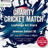Lashings Allstars vs Celebrity XI match at Horsmonden Charity Cricket Match